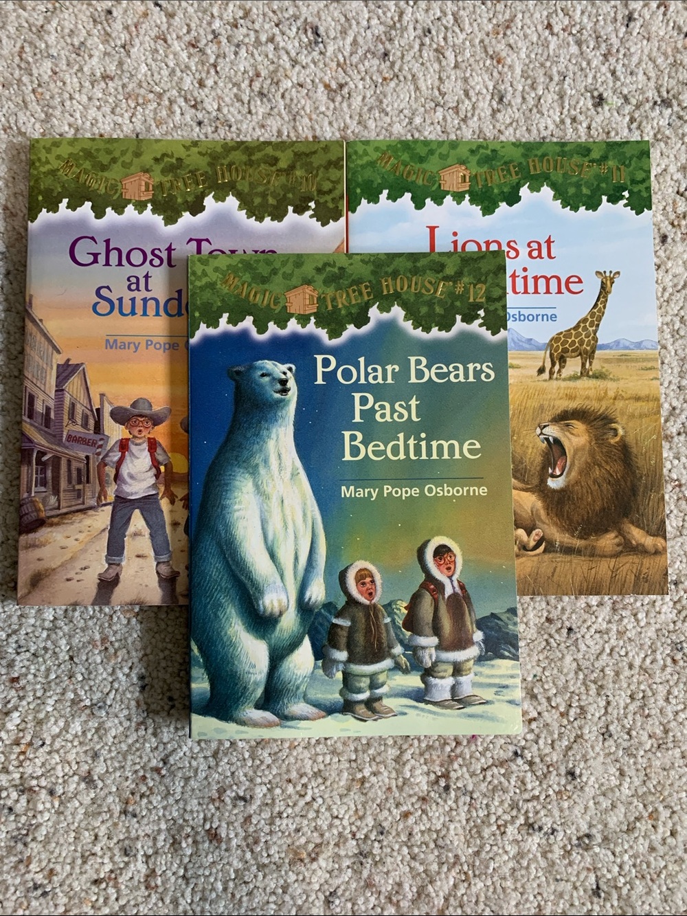 Magic Tree House Book Set